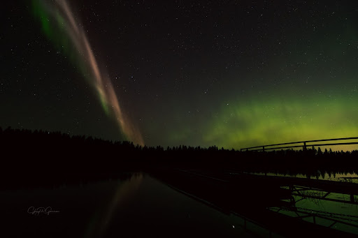 A dark, silhouetted landscape takes up the lower half of the photo. On the upper left, STEVE rises, its waving, choppy purple arc accented with green features. On the right, an aurora arc above the horizon like petals on a green rose.