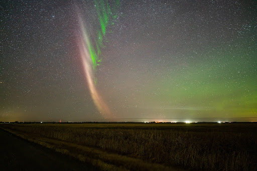 Over a flat landscape, STEVE's mauve arc curves upward and to the left like a feather, dotted with green stripes. Diffuse aurora glow to the right.