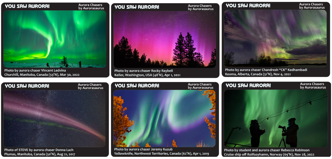 Six photos of aurora with a variety of colors and shapes, from pink pillars, to green and purple swirls, to a mauve STEVE arc with green stripes beneath it. Each is on a card labeled "You Saw Aurora!" with the photographer's name, and the date, time, and latitude of the photo.