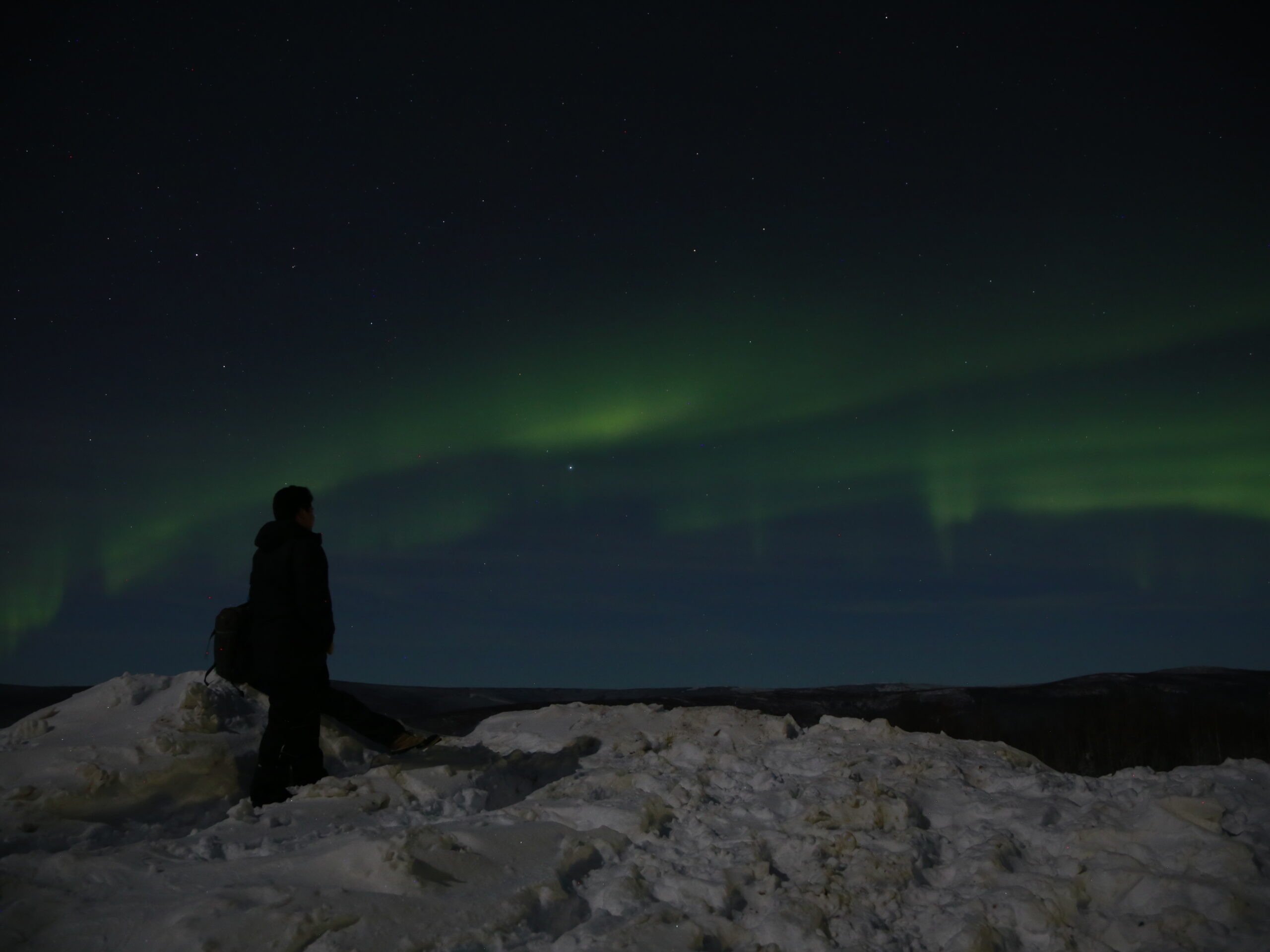 A person stands on a snowy hill, gazing up into a sky filled with ribbons of green aurora.